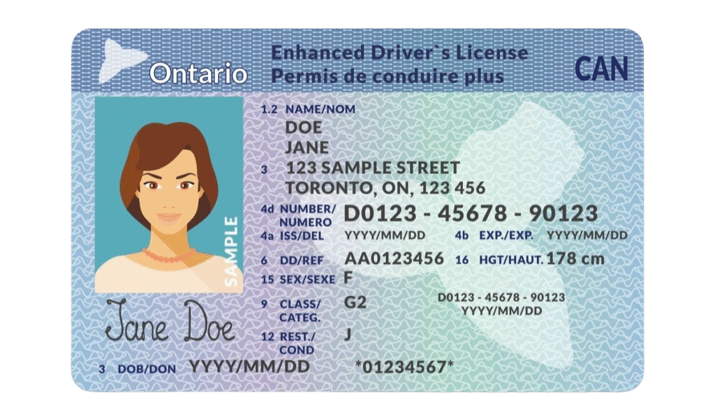 Ontario drivers license