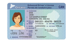 Ontario drivers license