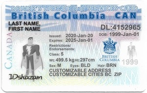 British Columbia driver's license