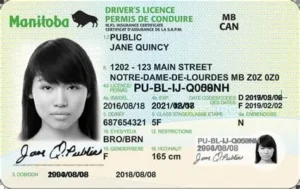 Manitoba Driver License