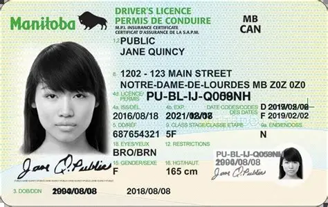 Manitoba Driver License