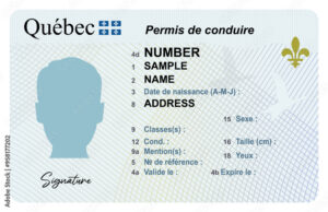 Quebec drivers license