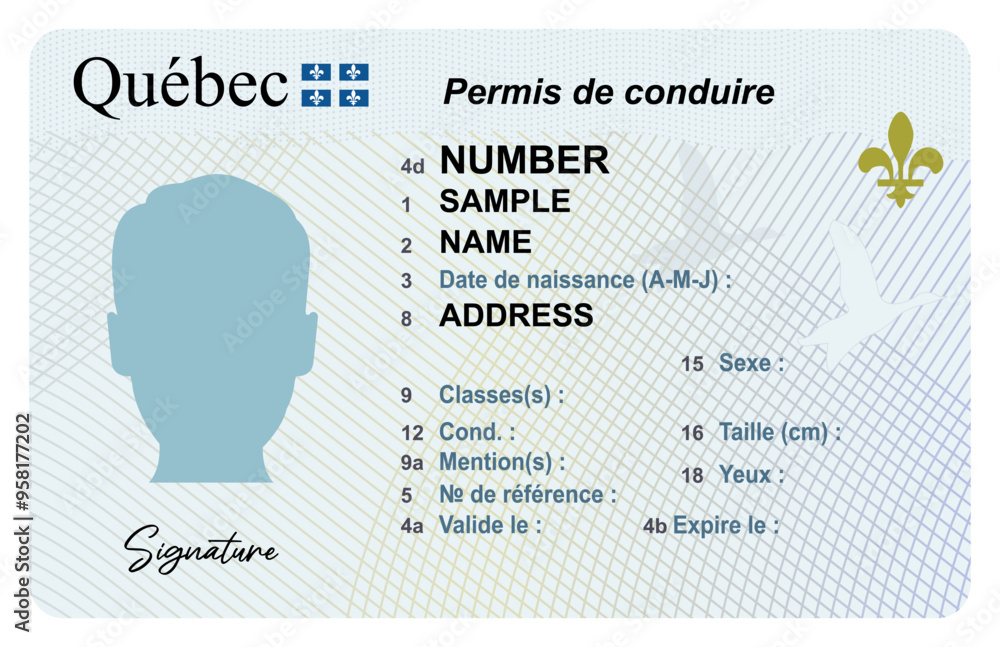 Quebec drivers license