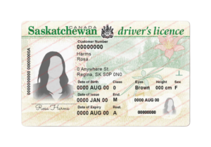 Saskatchewan Drivin License