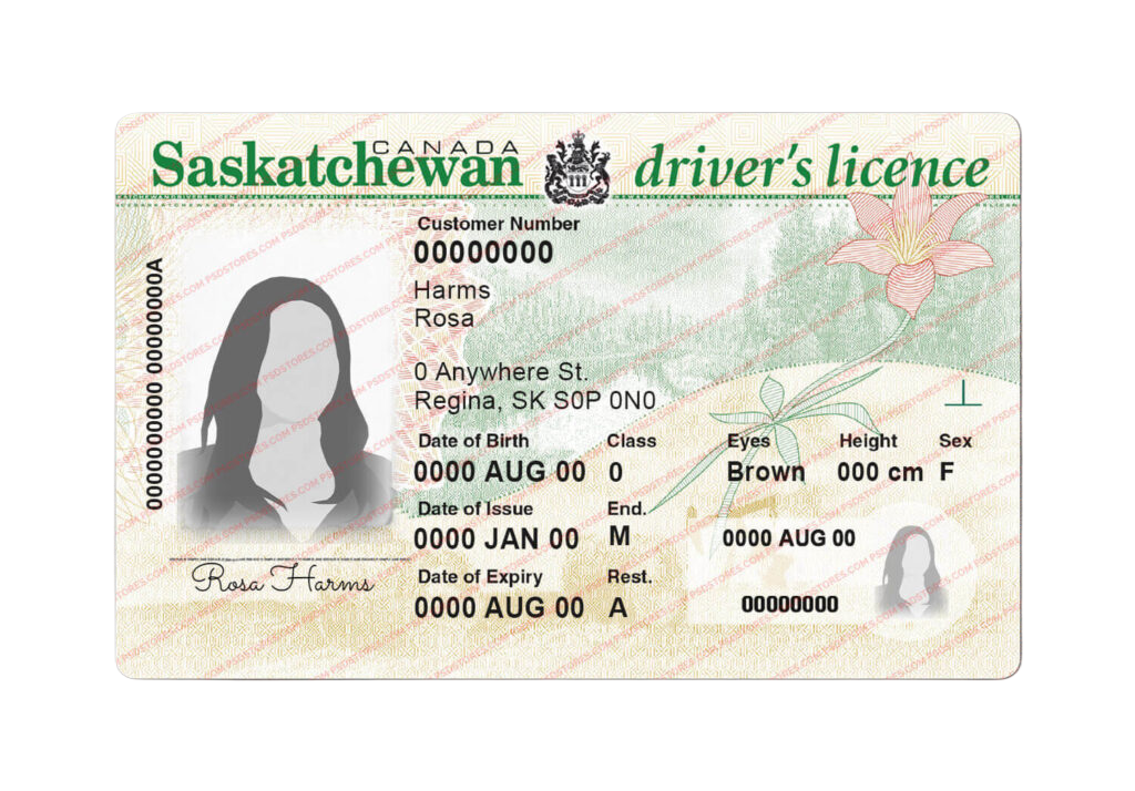 Saskatchewan Drivin License