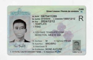 New Brunswick drivers license