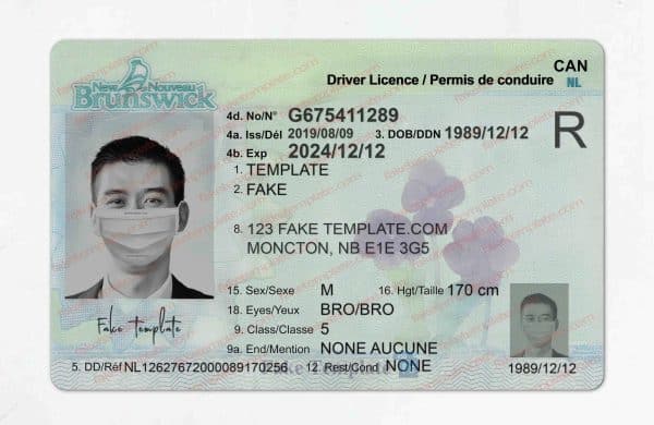 New Brunswick drivers license